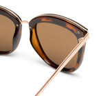 Caliente image number null