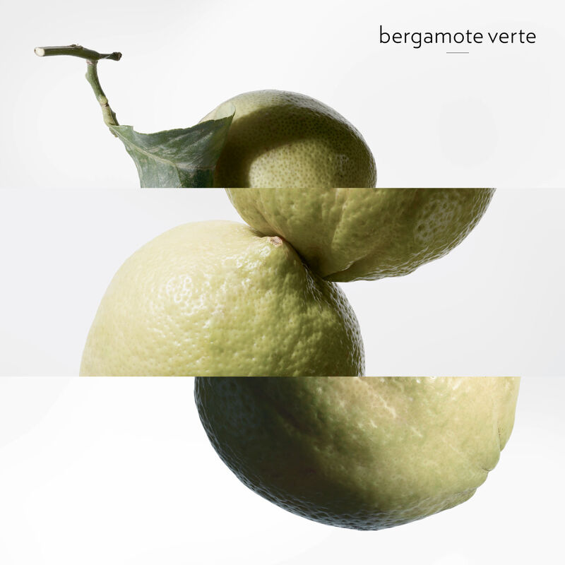 Eau de Basilic Pourpre image number null