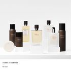 Terre d'Hermès Deo Stick image number null