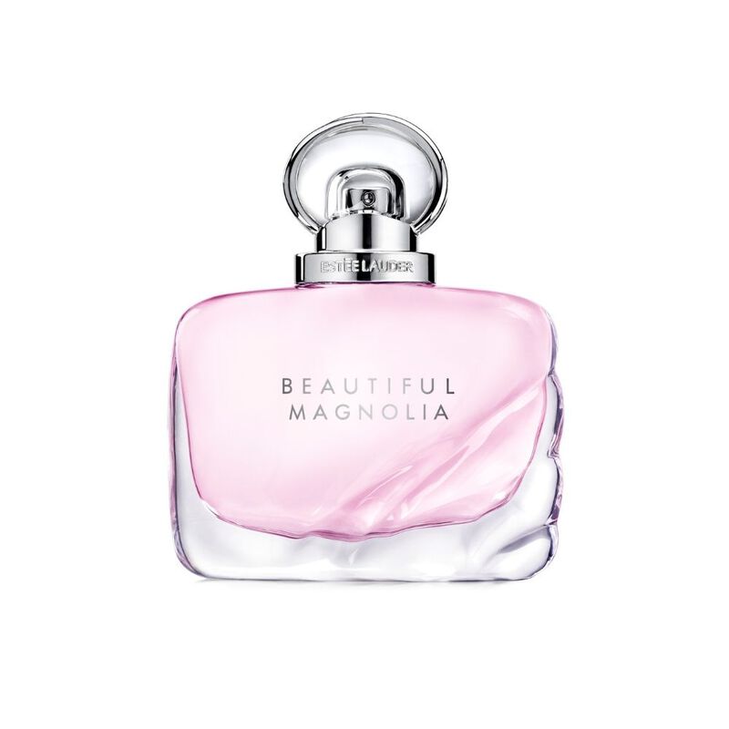 Beautiful Magnolia image number null