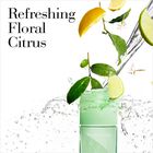 Green Tea Scent Spray image number null