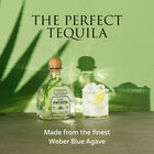 Silver Tequila image number null