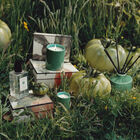 Green Tomato Leaf Hand Wash image number null
