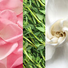 Facial Spray With Aloe, Herbs & Rosewater image number null