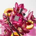 Flowerbomb Ruby Orchid Fantasy image number null