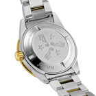 Captain Cook image number null