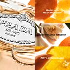 Infusion de Mandarine image number null