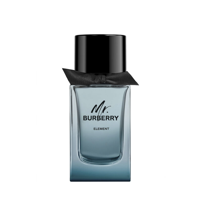 Mr. Burberry Element image number null
