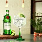 London Dry Gin image number null