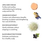 Apple Cider Detox Scrub Exfoliant image number null