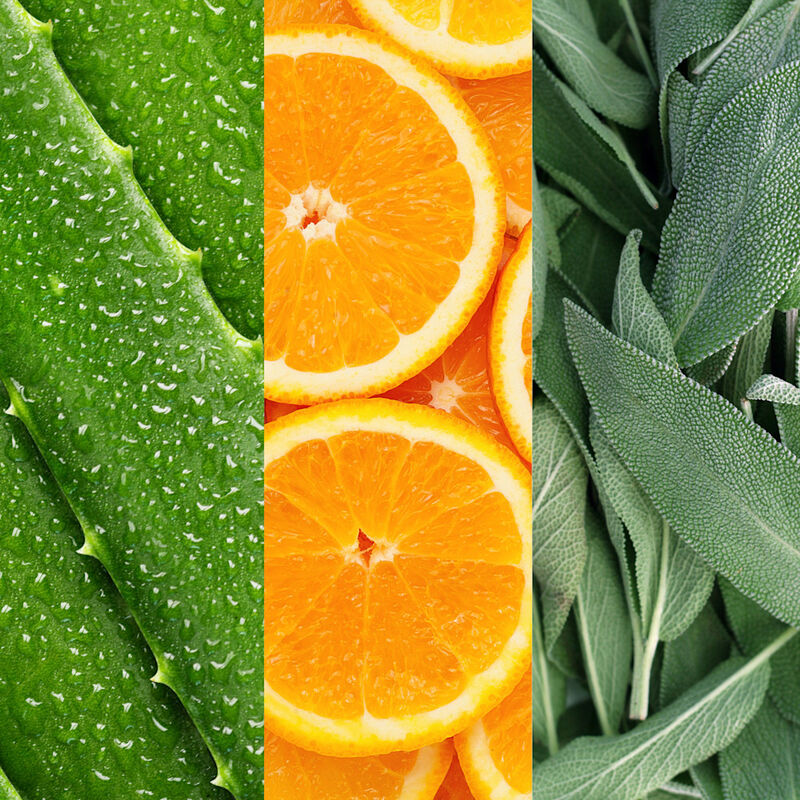 Facial Spray With Aloe, Sage & Orange Blossom image number null