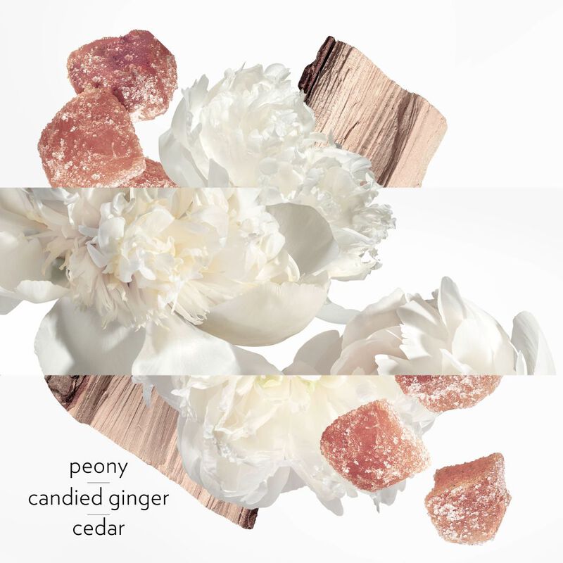 Twilly d'Hermès Eau Ginger image number null