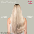 Fusion Shampoo image number null