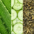 Facial Spray With Aloe, Cucumber & Green Tea image number null