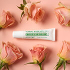 Rose Lip Balm  image number null