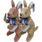Boomerang Kangaroo image number null