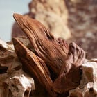 K Parfum image number null