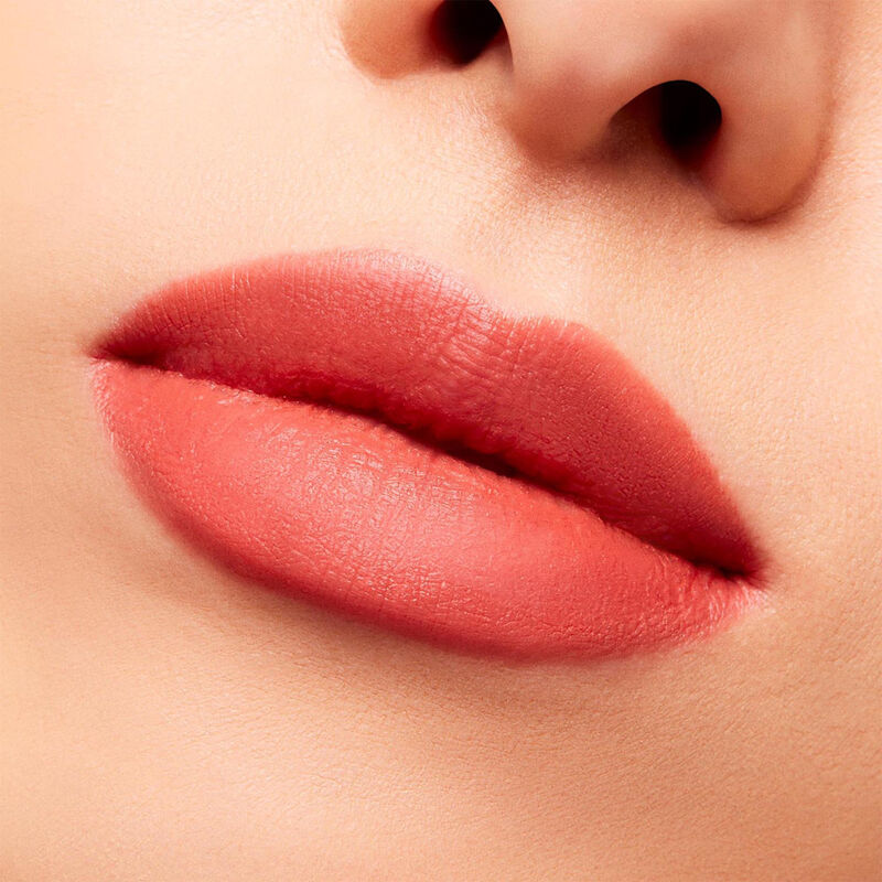 Powder Kiss Velvet Blur Slim Stick image number null