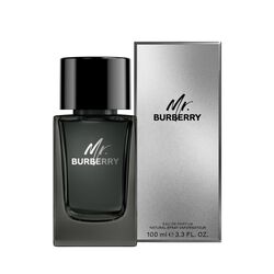 Mr. Burberry