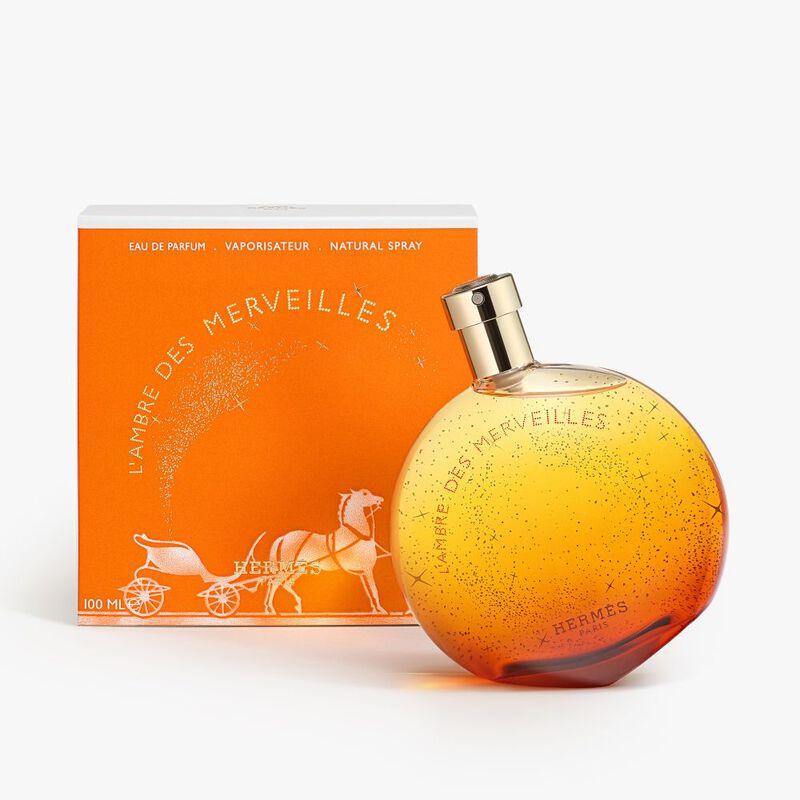 L'Ambre des Merveilles image number null