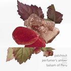 L'Ambre des Merveilles image number null