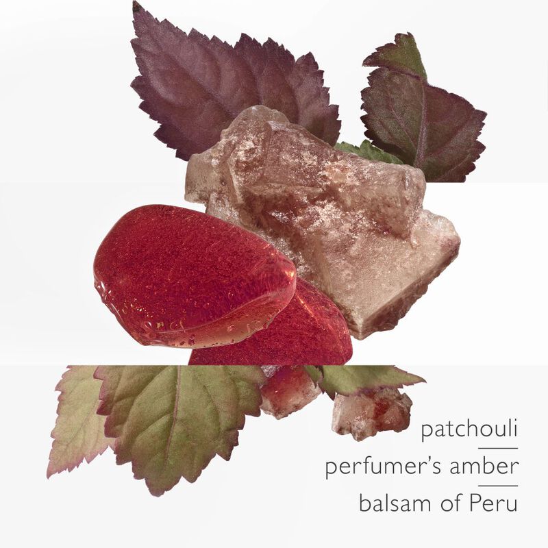 L'Ambre des Merveilles image number null