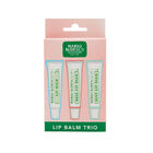Lip Balm Trio  image number null
