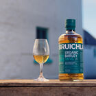 Organic 16YO Travel Exclusive image number null