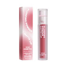 Plumping Powder Matte Lip image number null