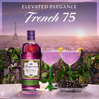 Royale Blackcurrant Gin image number null