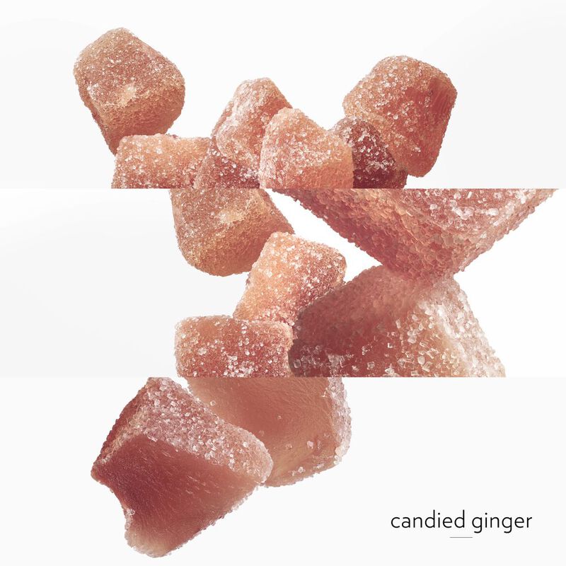 Twilly d'Hermès Eau Ginger image number null