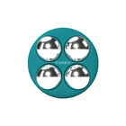 Bear 2 Body Evergreen image number null