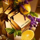 The One for Men Gold Intense image number null