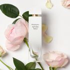 White Tea Wild Rose image number null