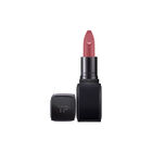 Fabulous Lip Color image number null