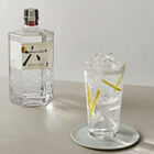 Japanese Gin image number null