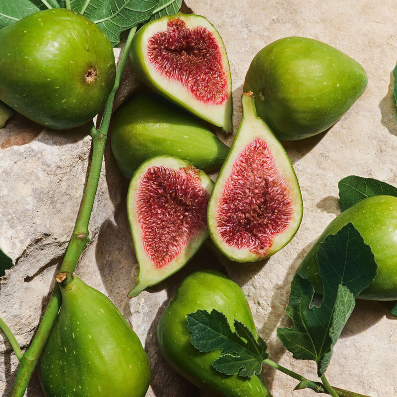 Light Blue Capri In Love Male image number null