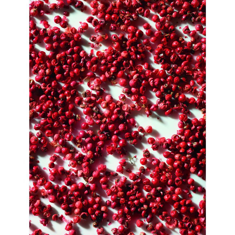 Romance  image number null