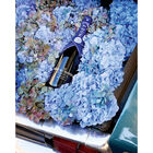 Brut Imperial Pharell Limited Edition image number null