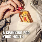 Liqueur Blended with Cinnamon & Whisky image number null