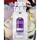 Wildberri Swedish Vodka image number null