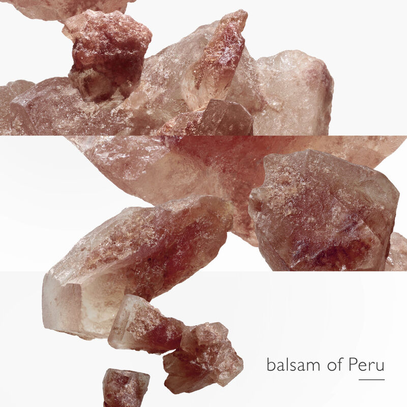 L'Ambre des Merveilles image number null