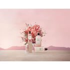 Rose image number null