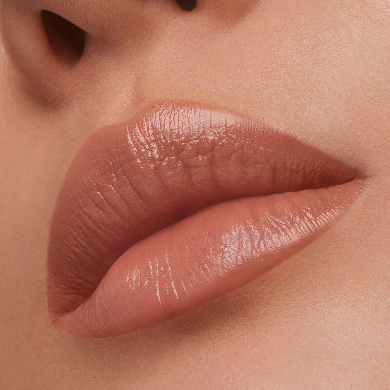 Pure Color Creme Lipstick image number null