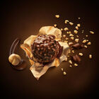 Rocher image number null