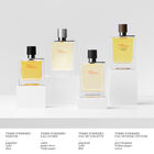 Terre d'Herm&egrave;s image number null