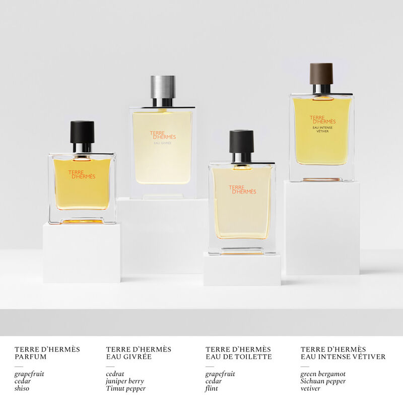 Terre d'Herm&egrave;s image number null