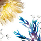 Precious Le Serum Bright image number null