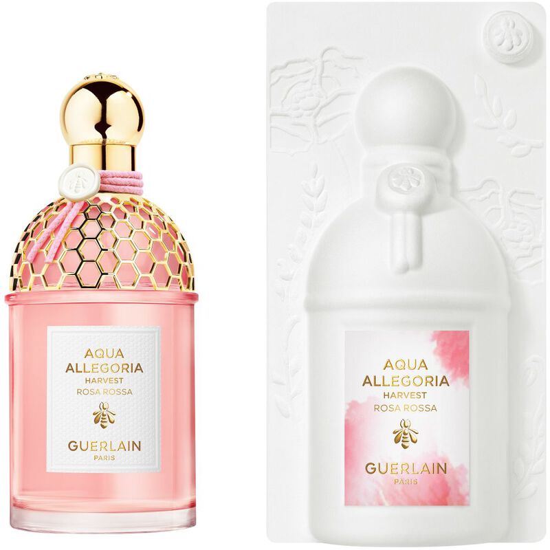 Aqua Allegoria Rosa Rossa Harvest image number null