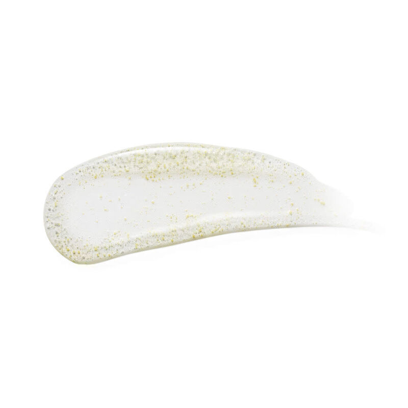 GinZing Cleanser image number null